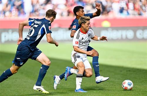 All Sport Bet: Ultimate Guide to Sports Betting